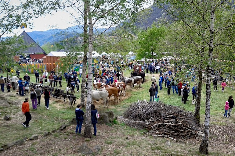 Agricultural and Livestock Trade Fair
